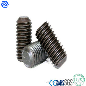 Set Screw (DIN913)